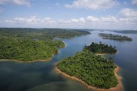 No Dia da Amazônia, presidente homologa terras indígenas e assina atos para proteção da floresta