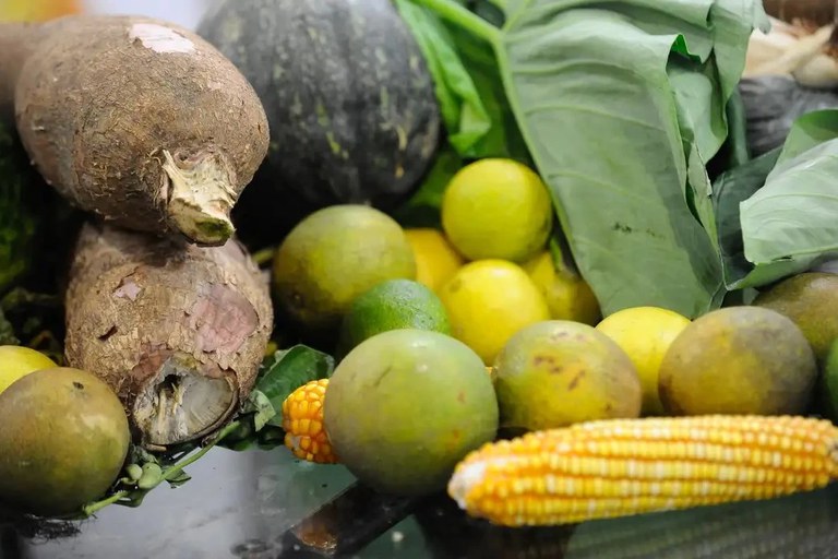 Alimentos de origem vegetal têm resíduos de agrotóxicos