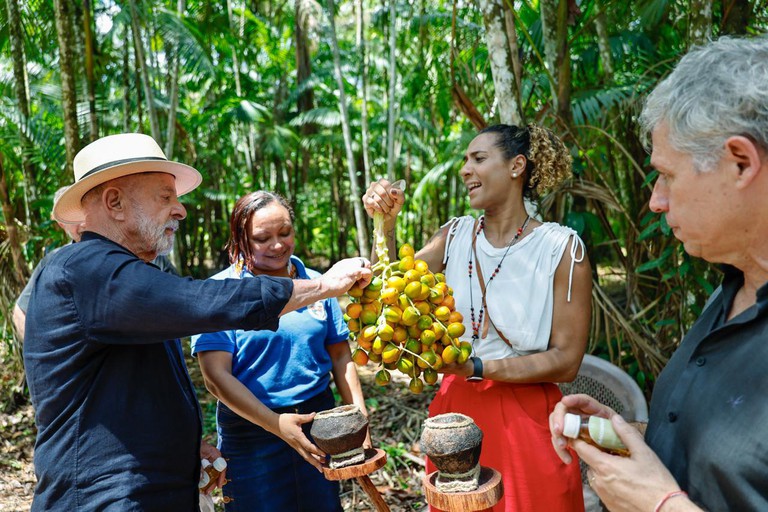 Assentamento Agroextrativista Ilha Grande