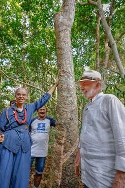 O Sr. Dido e a ministra Marina Silva mostram ao presidente Lula o processo de extração do látex. Foto: Ricardo Stuckert /PR