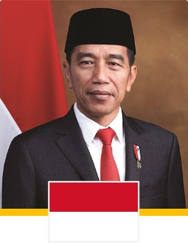 Foto do Presidente e Bandeira do País