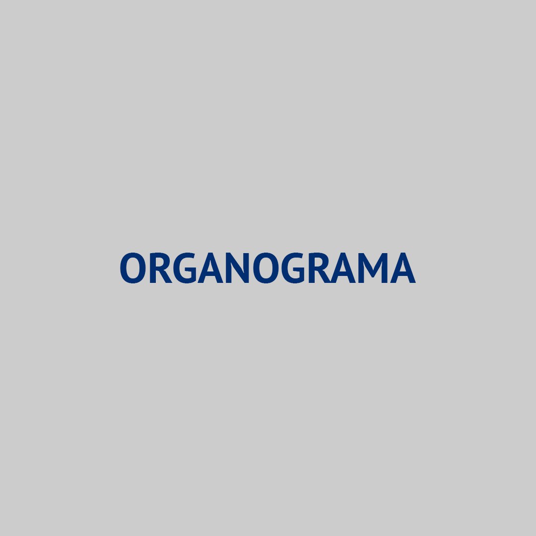 Organograma