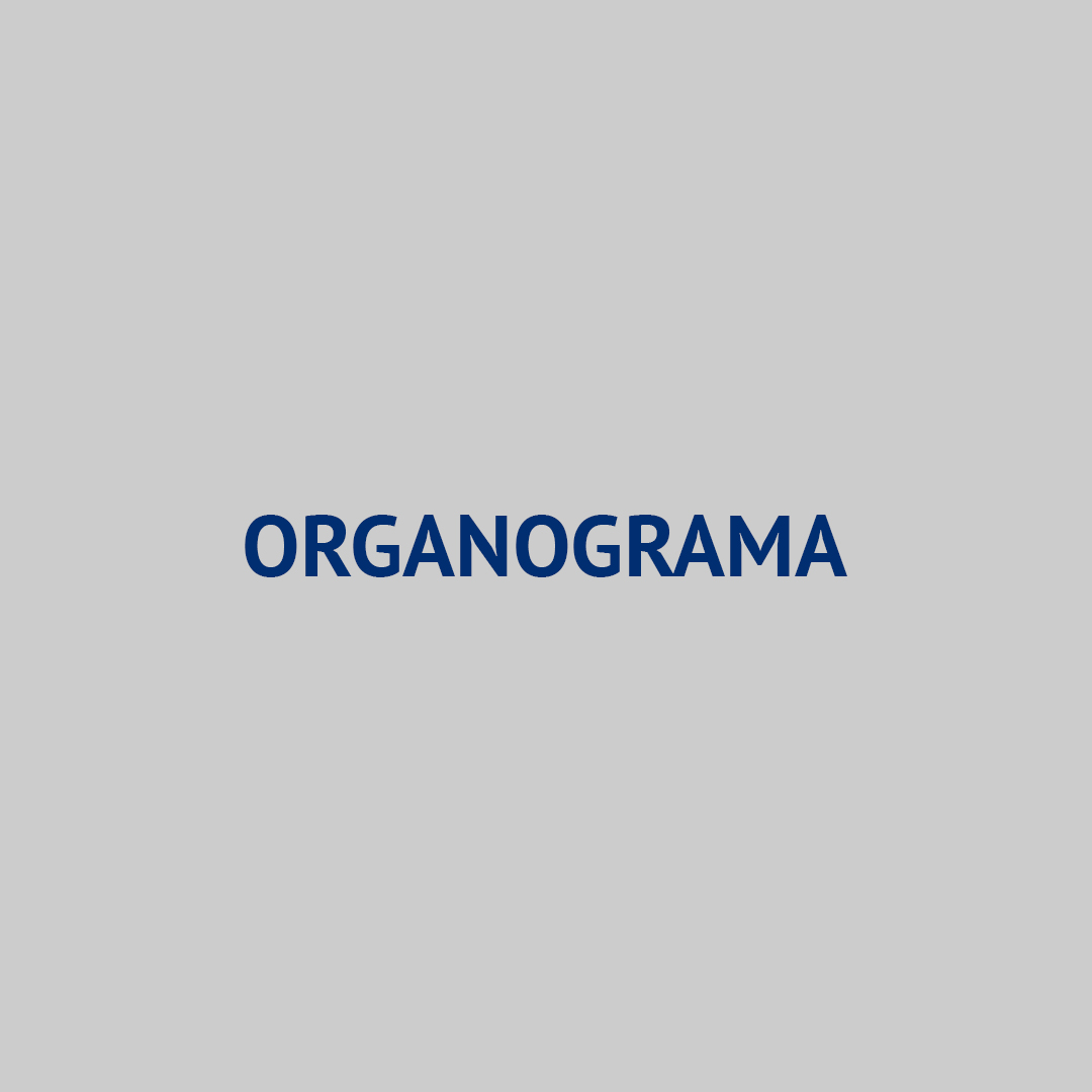 Organograma