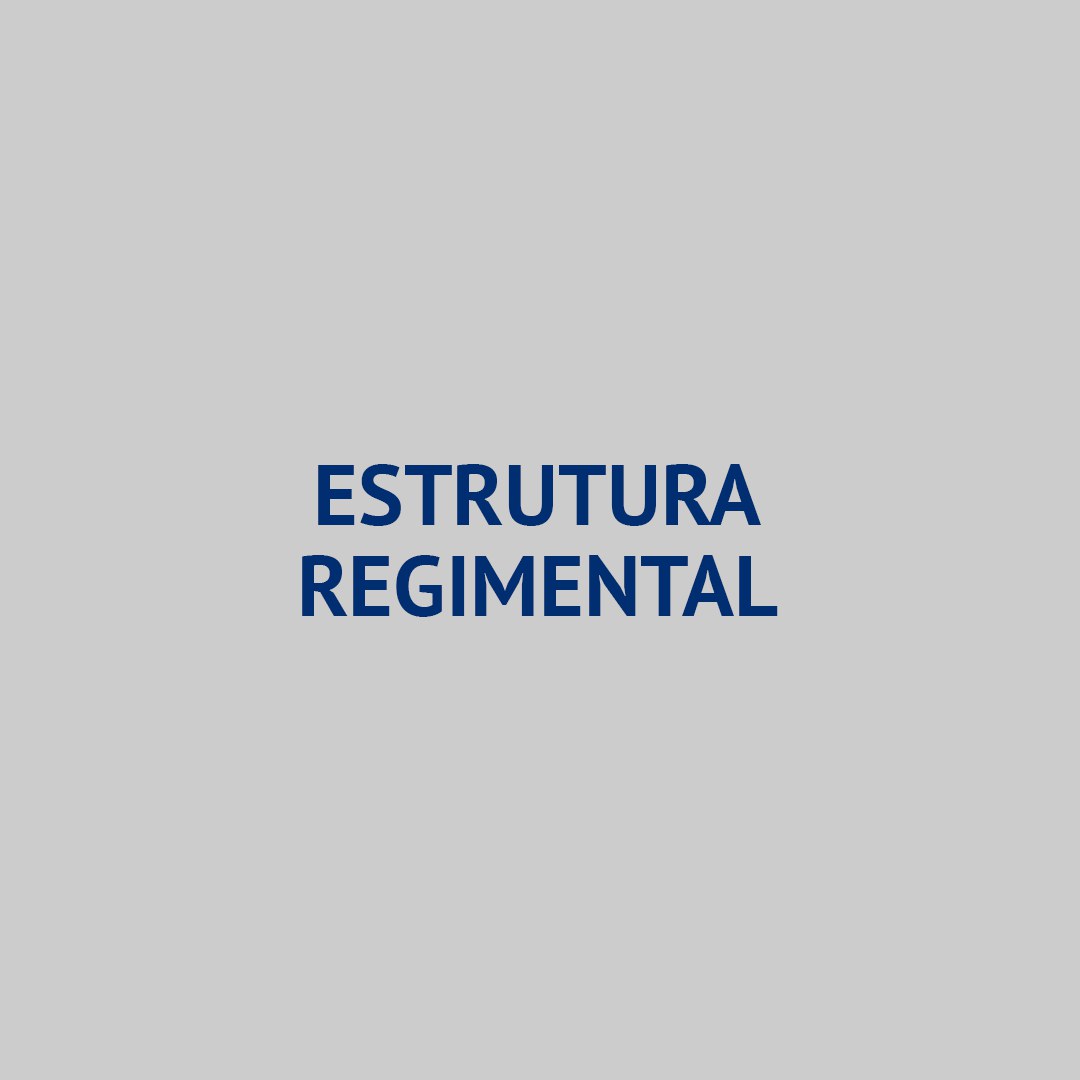 Estrutura Regimental