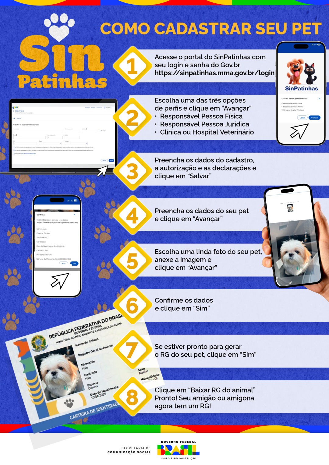 Passo a passo para emitir o RG de seu cão ou gato