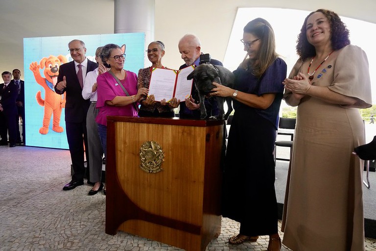 20250417_propatinhas