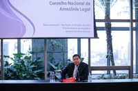 Viagem do Vice-Presidente da República a São Paulo/SP