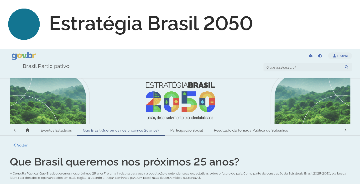 Imagem ilustrativa da página Estratégia Brasil 2050