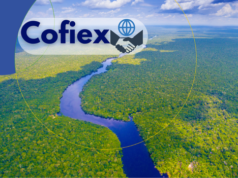 capa notícia cofiex.png