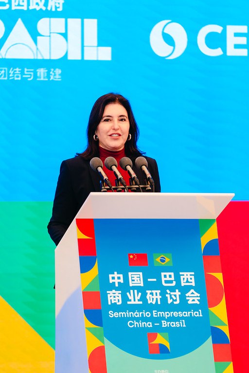 Brasil China 12 de maio 4.jpg