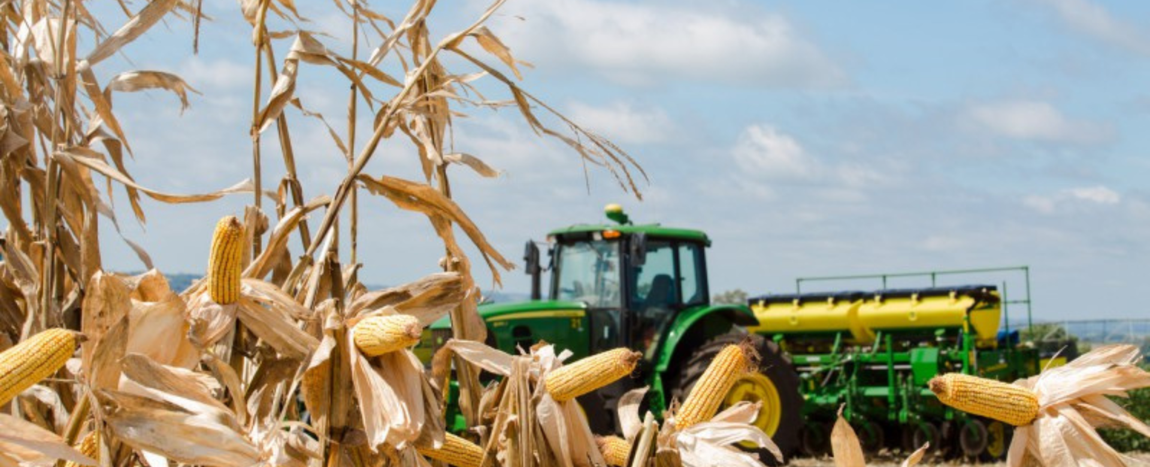 banner destaque RS.png