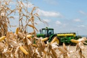 Colheita de Milho-RS. Foto-Karine Viana.jpg