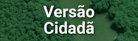 Versão Cidadã - PLOA 2025