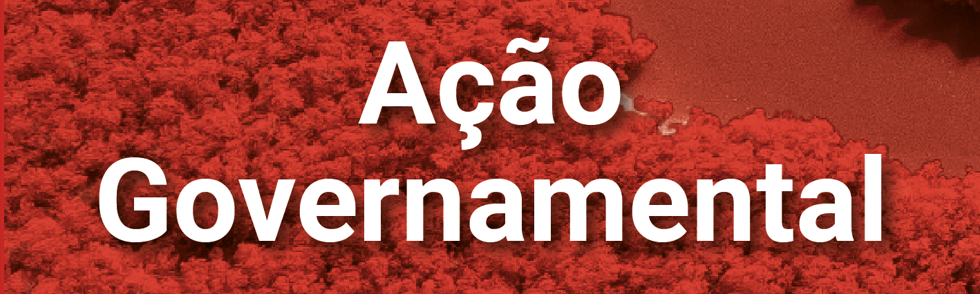 Clique para acessar a página "Ação Governamental" do painel Orçamento em Números - PLOA 2025.