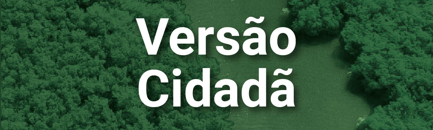 Clique para acessar a página "Versão Cidadã" do painel Orçamento em Números - PLOA 2025.