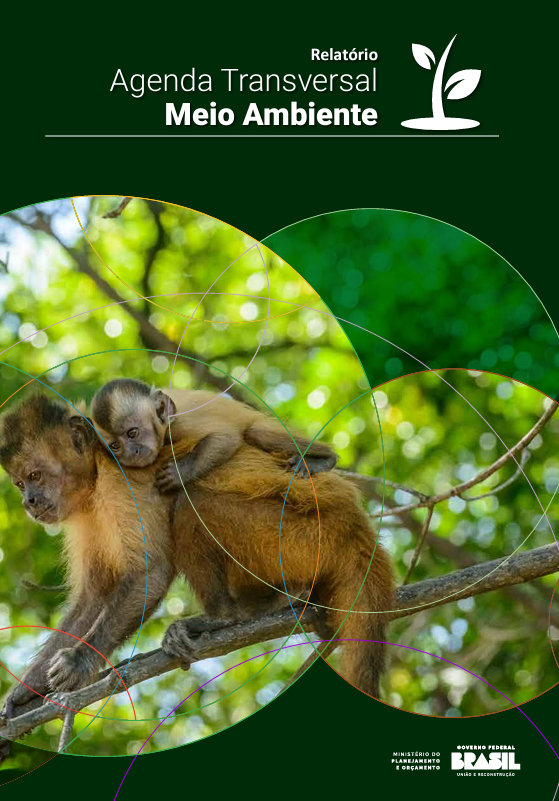 Capa Agenda Transversal Meio Ambiente 2024.png