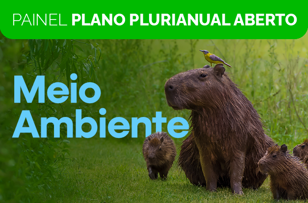 Agenda de Meio Ambiente entrega metas e mobiliza R$ 92,9 bilhões no primeiro ano do Plano Plurianual 2024-2027