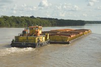 Ibama concede licença para o derrocamento do Pedral do Lourenço