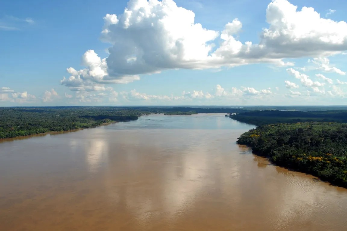 Vista aérea do Rio Madeira, na Amazônia, cercado por extensa vegetação verde dos dois lados. A água barrenta ocupa quase toda a paisagem, refletindo parcialmente a luz do céu. No horizonte, a floresta se estende até onde a vista alcança. Acima do rio, o céu azul está repleto de grandes nuvens brancas, criando uma cena natural ampla e tranquila típica da região amazônica.