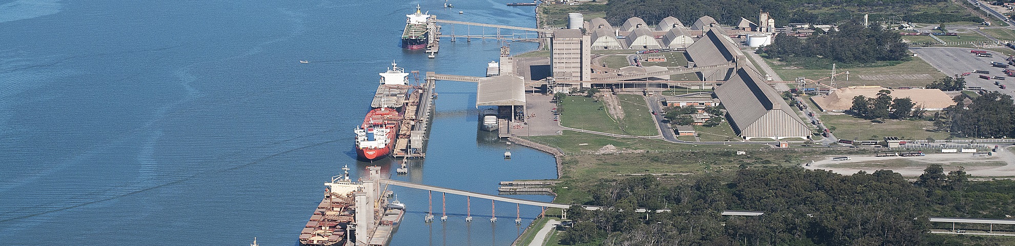 Vista aérea do Porto do Rio Grande (RS), mostrando um terminal de granéis às margens do canal de navegação. Três navios cargueiros estão atracados em píeres equipados com esteiras transportadoras que ligam as embarcações aos armazéns e silos do terminal. Ao lado dos berços de atracação, há grandes galpões industriais, tanques de armazenamento, vias de circulação e áreas operacionais. O canal, de águas azuis e calmas, ocupa a maior parte da imagem, reforçando a dimensão da infraestrutura portuária e sua função no escoamento de cargas.
