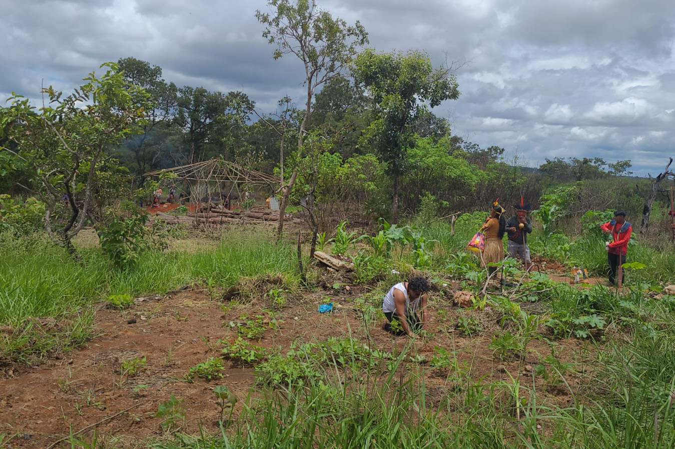 WhatsApp Image 2024-02-24 at 13.06.13.jpeg