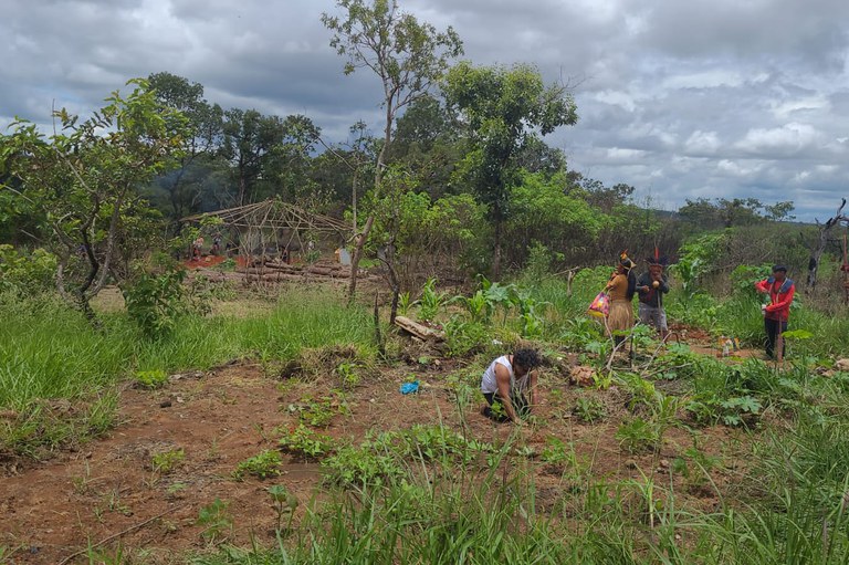 WhatsApp Image 2024-02-24 at 13.06.13.jpeg