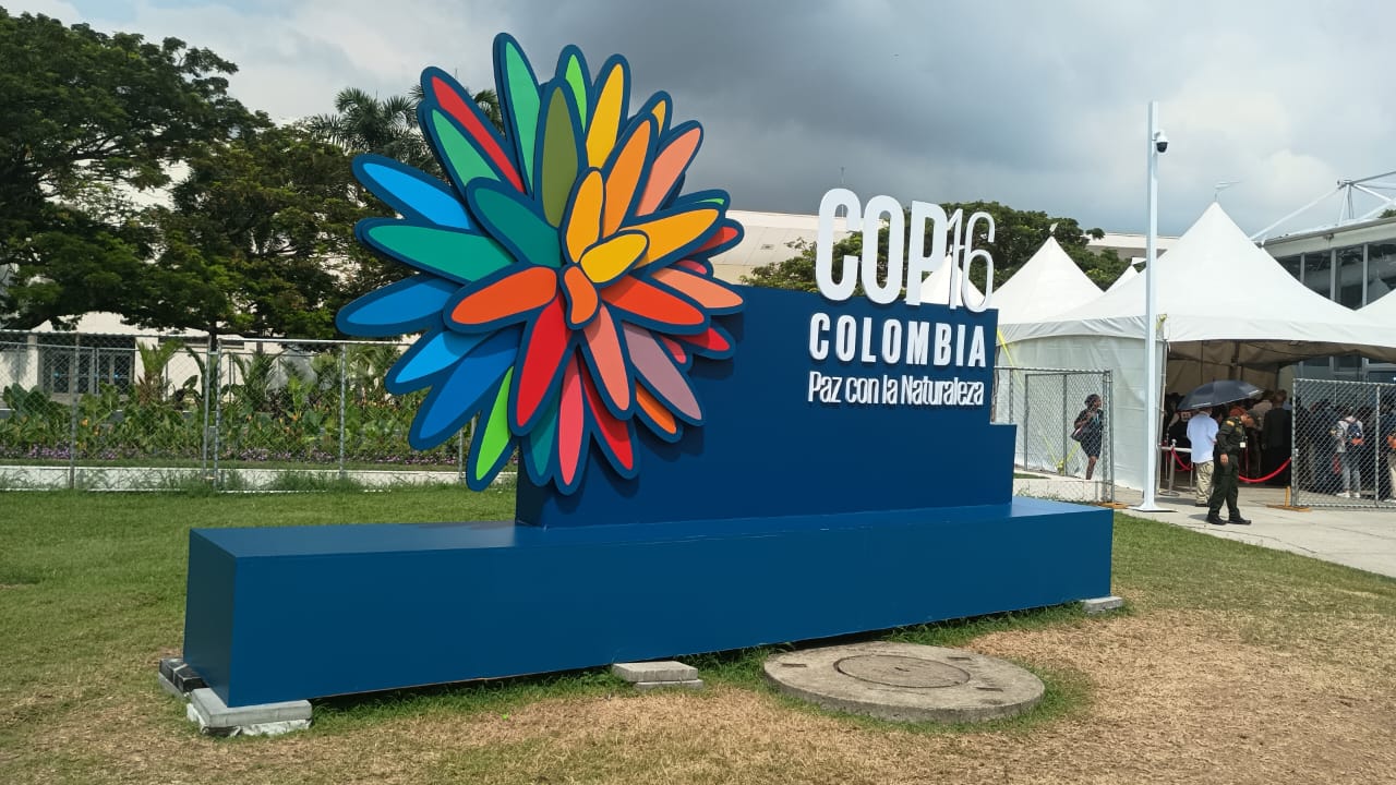 WhatsApp Image 2024-10-22 at 11.58.09.jpeg