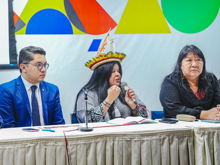 Reuniao com CNPI - foto Rony Eloy (1).png