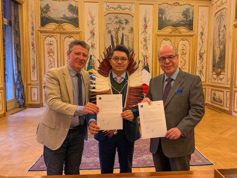 Formato capa pro site MPI.png