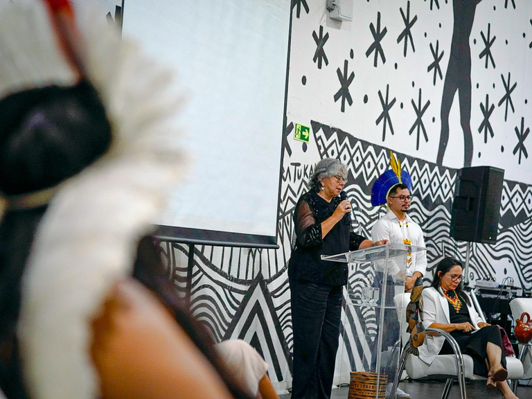 202502 Lancamento Ywy Ipuranguete - credito Rony Eloy  (44).png