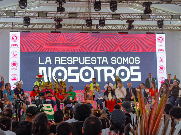 202502 Lancamento Ywy Ipuranguete - credito Mre Gavião .png