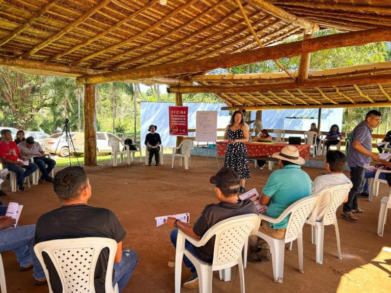 Formato capa pro site MPI (5).png