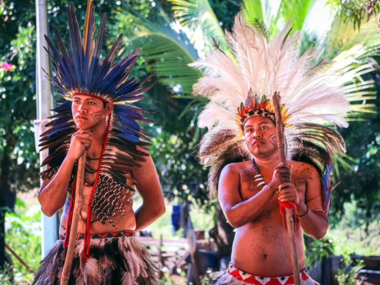 Formato capa pro site MPI (6).png