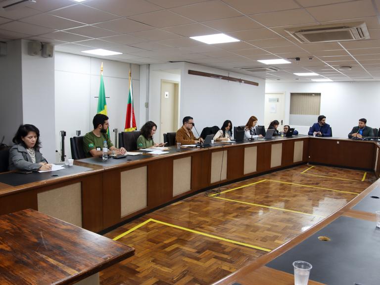 Formato capa pro site MPI (5).png