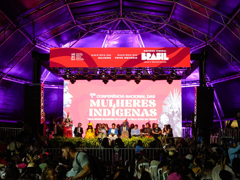 Aprimeira etapa da Operação de Desintrusão da Terra Indígena Kayapó (OD-TIKAY), no Pará, encerra-se com resultados expressivos no combate ao garimpo ilegal, proteção dos povos indígenas e preserva (8).png