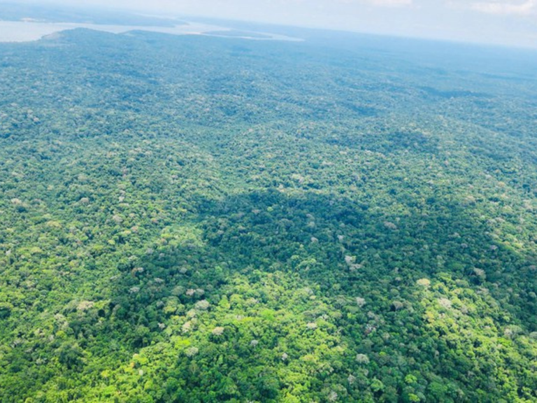 Formato capa pro site MPI (22).png