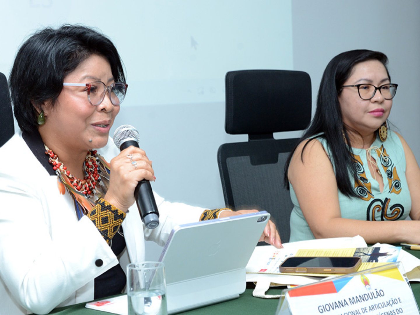 Publicação traz recortes relevantes sobre a população indígena brasileira com dados sobre o Aumento Populacional, Distribuição Espacial, Idade e Sexo, Alfabetização, Registro de Nascimento, Saneamento Básico, Etnias, povos ou grupos indígenas e População por Língua Falada no Domicílio