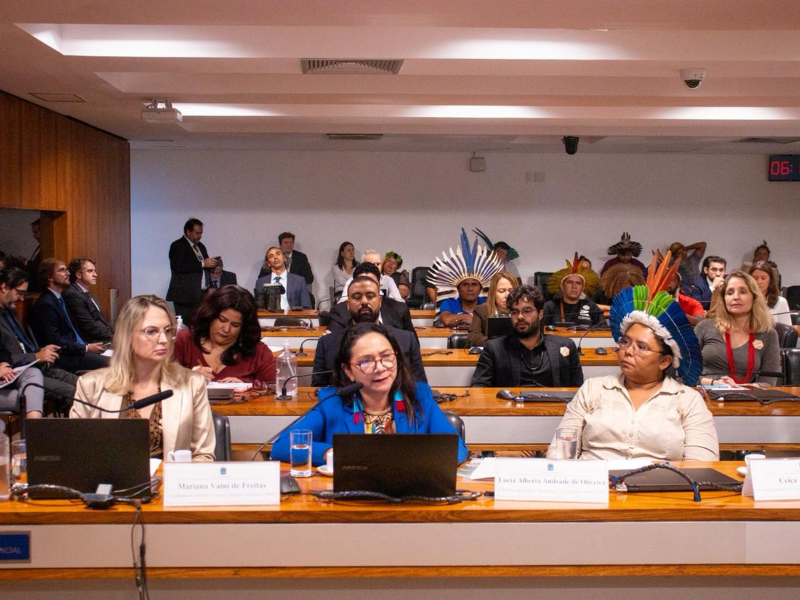 Em audiência no Senado, secretária Ceiça Pitaguary afirma que atividade minerária é contrária à ideia de sustentabilidade para os povos indígenas e defende autodeterminação como base de qualquer discussão que os afete