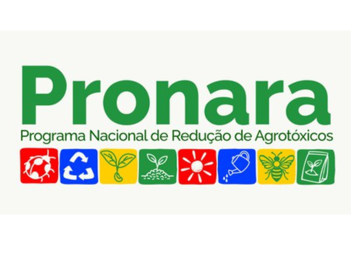 Ministério dos Povos Indígenas integra comitê interministerial que terá 180 dias para propor ações contra pulverização aérea e por segurança alimentar nas comunidades afetadas