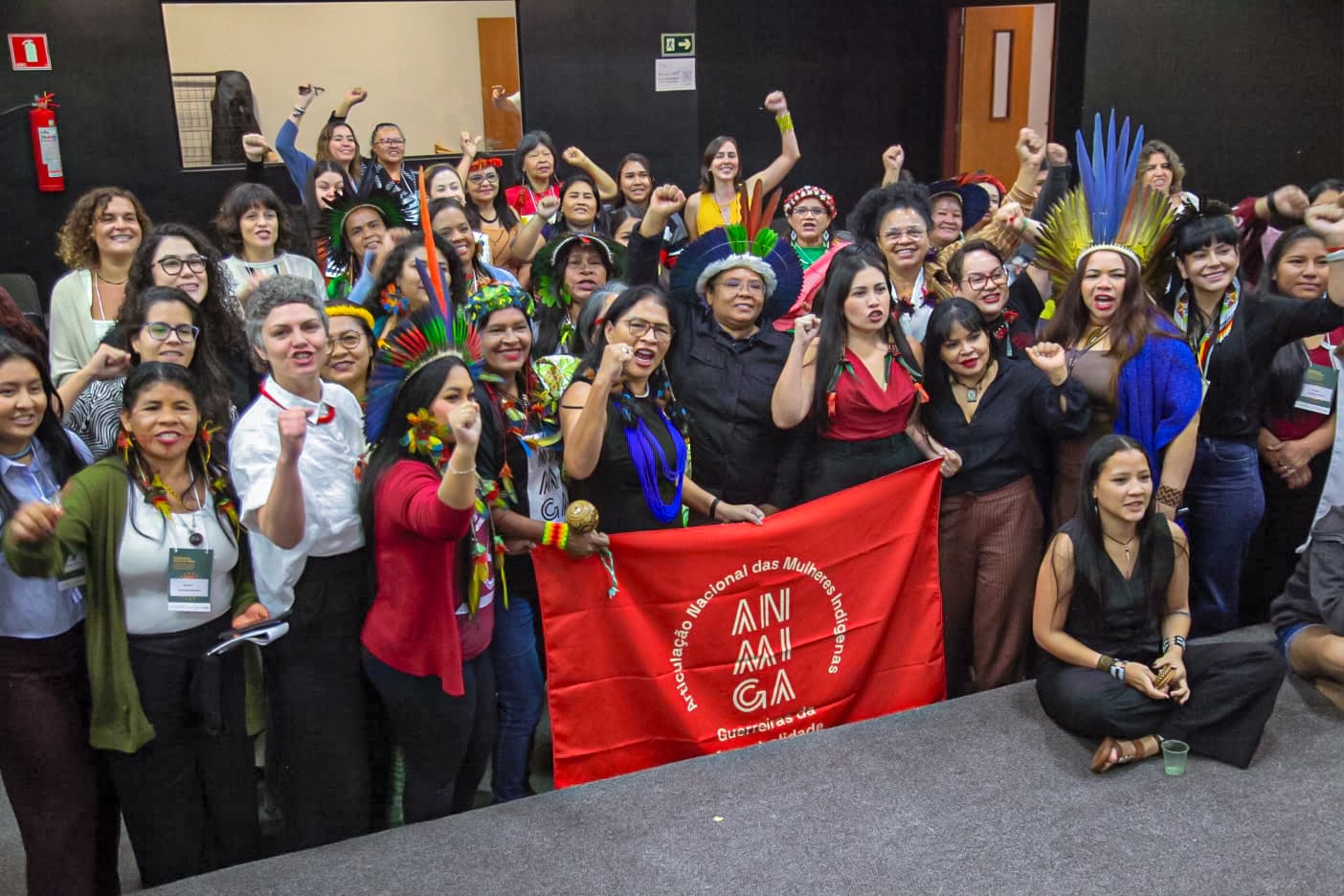 Mulheres indígenas