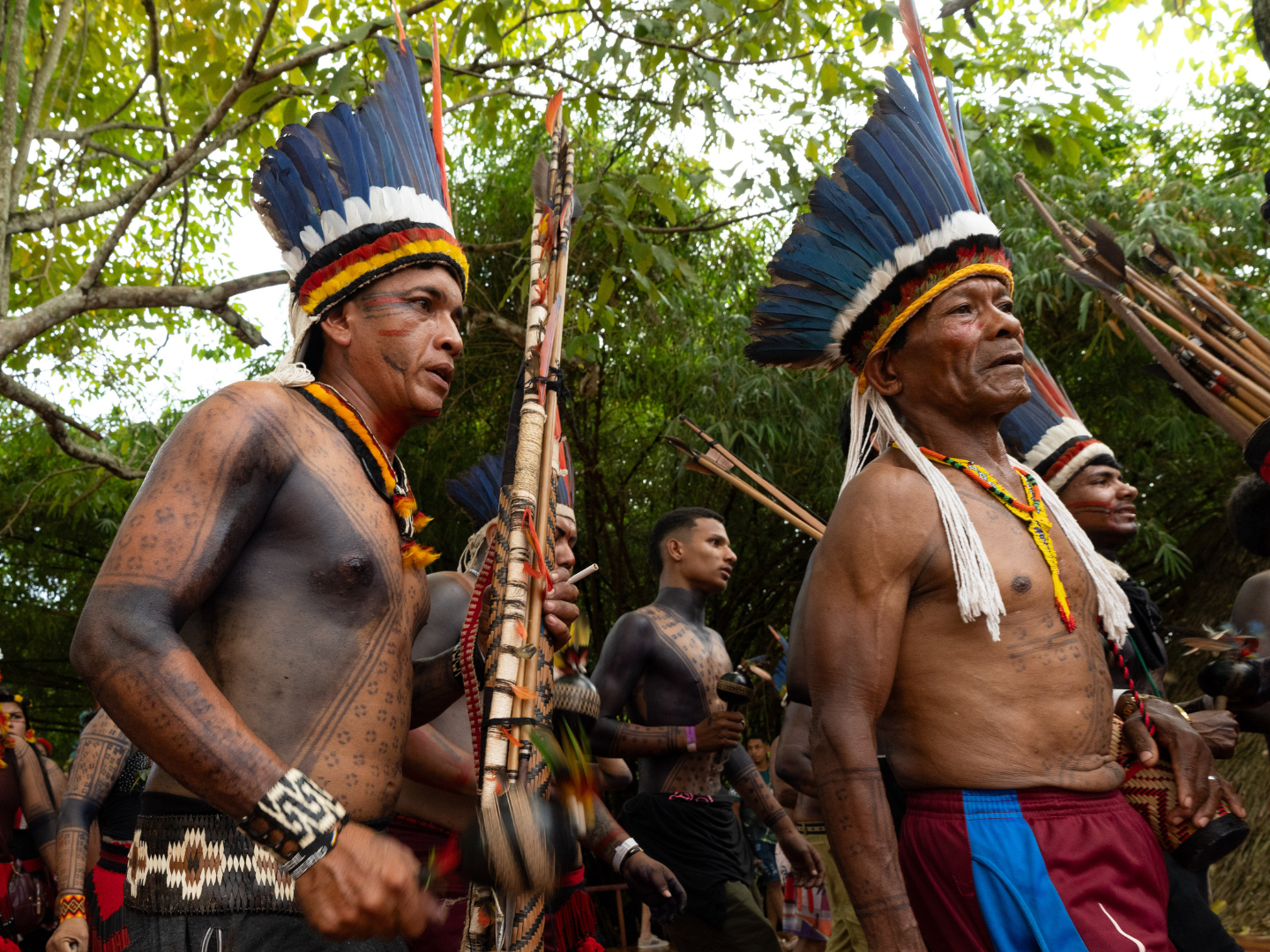 Governo do Brasil abre inscrições para o Comitê Nacional de Enfrentamento ao Racismo Ambiental e Climático