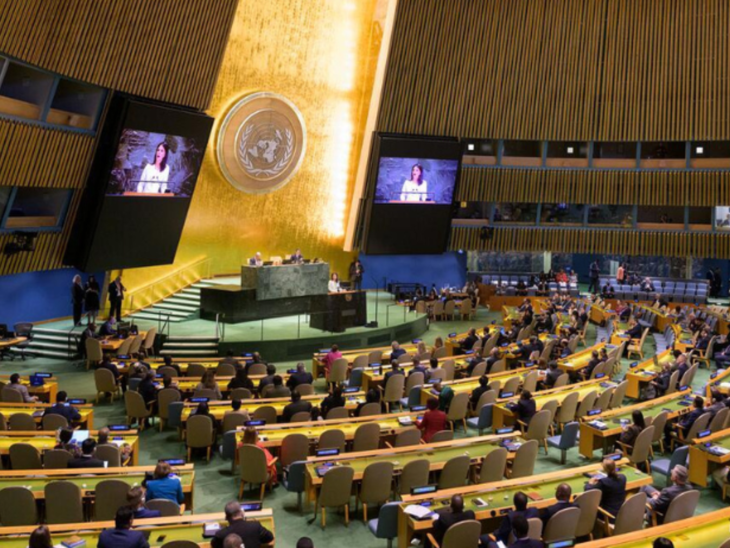 Foto Manuel Elias ONU.png