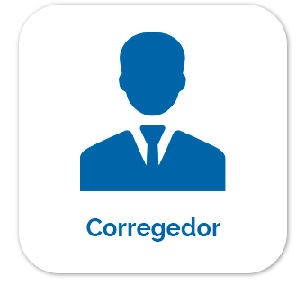 Acessar perfil do corregedor