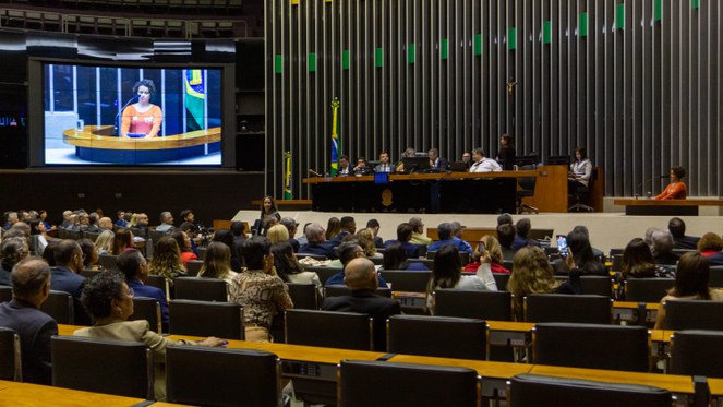 Taís Novo, diretora-presidente da ASPREVIC, representa servidores na câmara