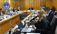 CRPS apresenta avanços na análise de processos em reunião do CNPS