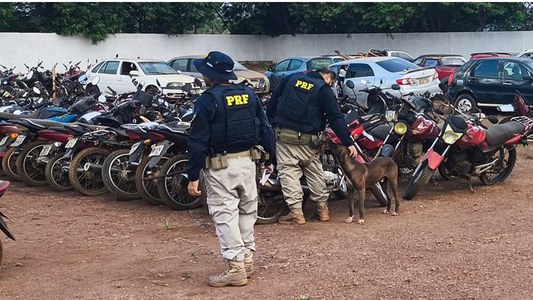 NOTIFICAR os proprietários, responsáveis, condutores, agentes financeiros, arrendatários e/ou entidades credoras, que os veículos constantes no anexo I do Edital Nº 3, no prazo de 30 (trinta) dias, deverão ser retirados dos pátios da PRF no Pará após a devida quitação dos débitos que lhes são vinculados, quais sejam: as despesas de remoção, diárias de estadia, regularização do veículo e de licenciamento, sob pena de ser incluído em procedimento de alienação por leilão, decorrido o prazo legal.