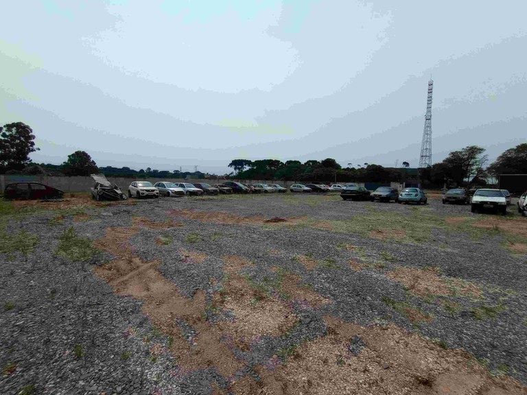 IMG_20231116_101716272 reduzida.jpg