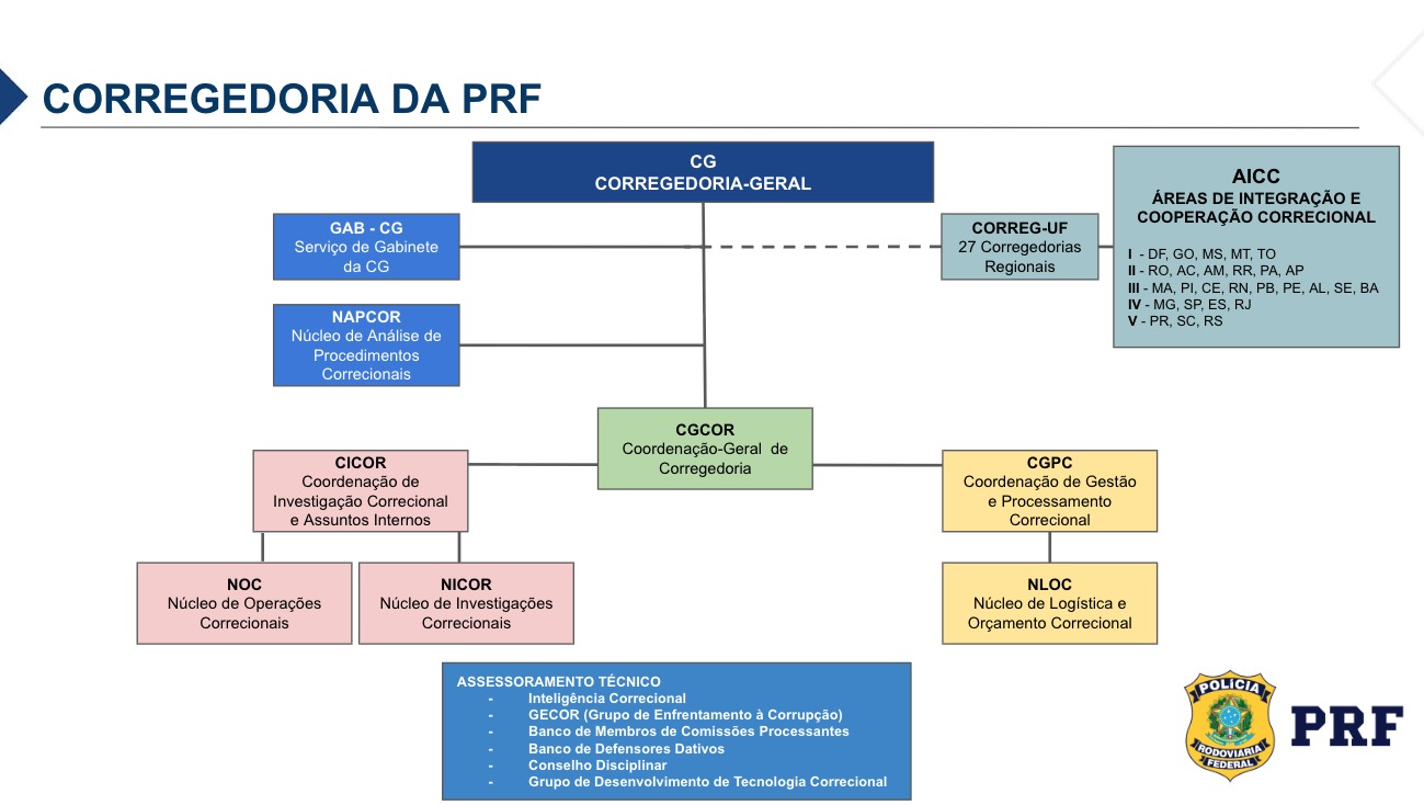 CG organograma 01.2025