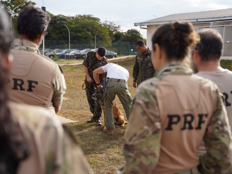 PRF realiza seminário em Brasília sobre comportamento de cães farejadores