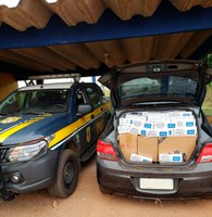 PRF apreende 11.500 maços de cigarros estrangeiros contrabandeados na BR-317
